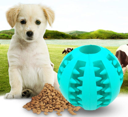 Interactive Rubber Dog Ball - Pawsitive Cuddles