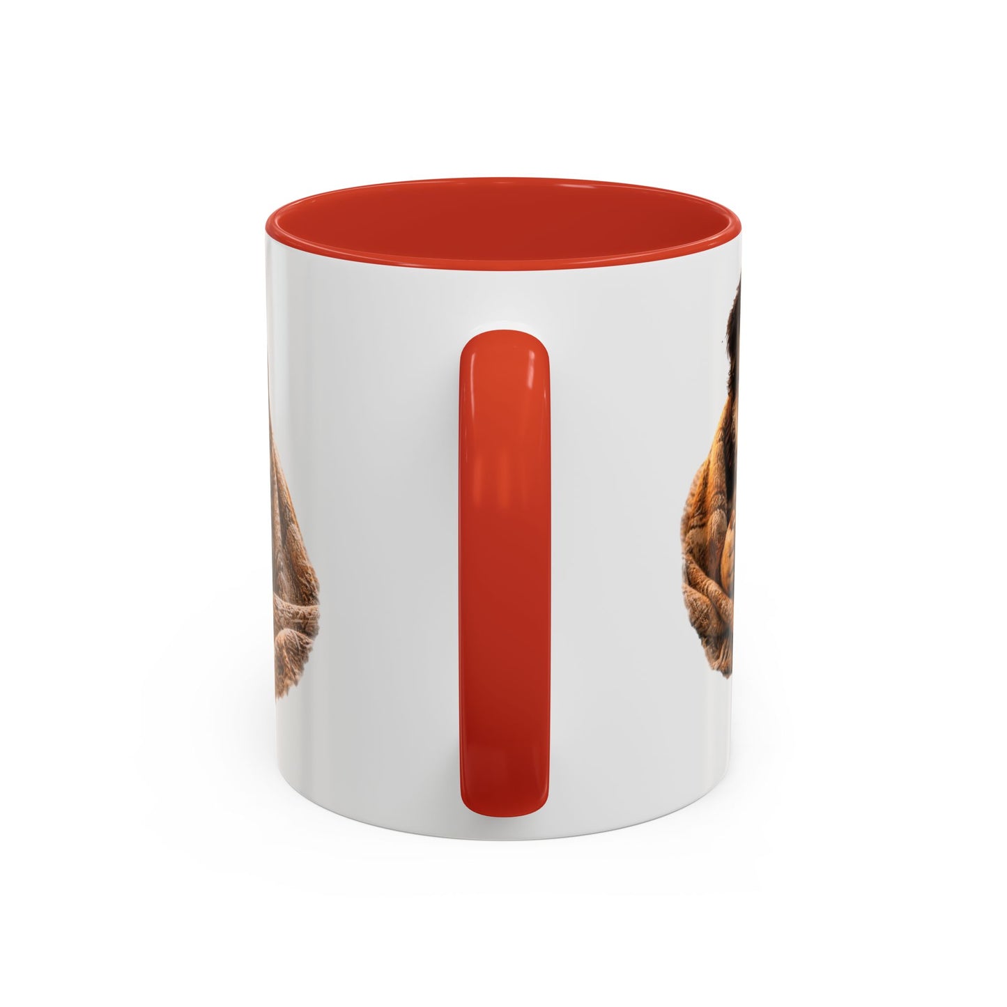 Cozy Pets Coffee Mug — Cat & Dog Snuggled with Hot Cocoa Accent Mug (11/15 oz)
