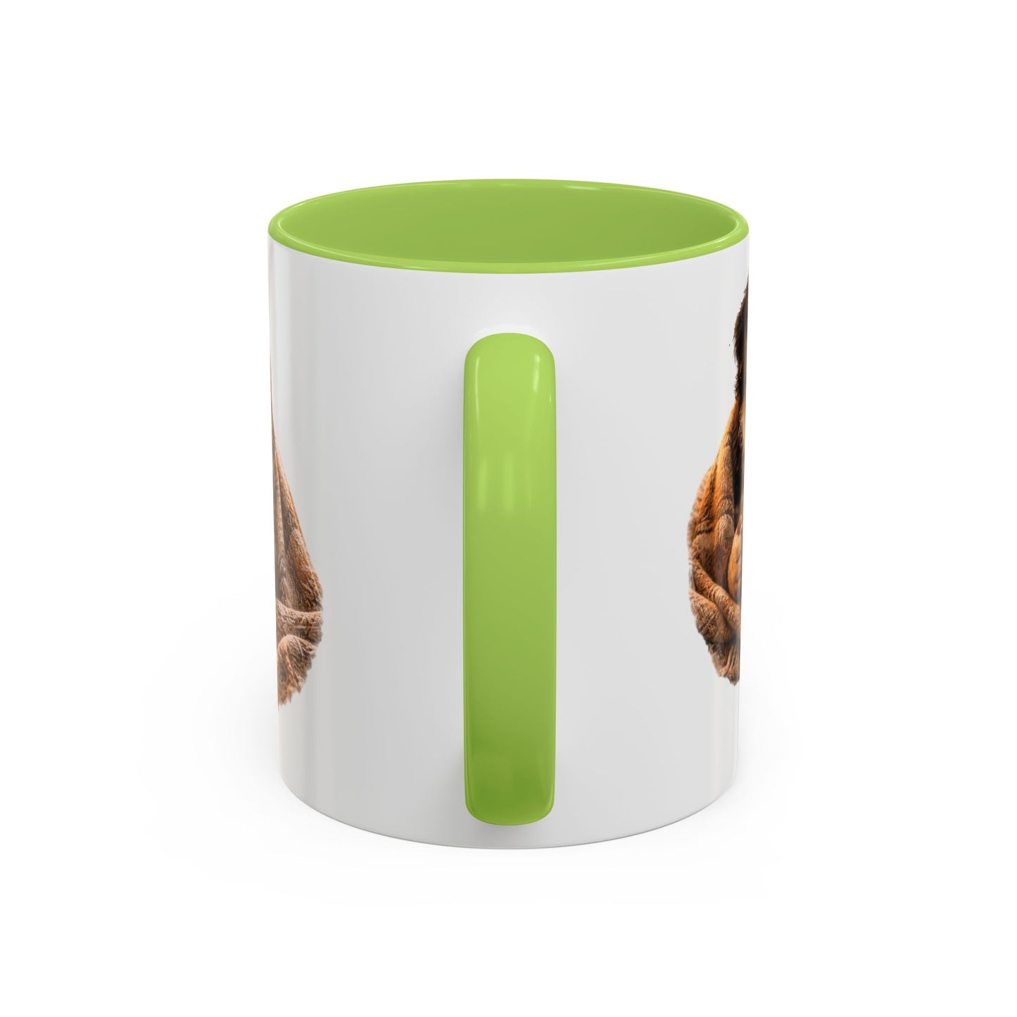 Cozy Pets Coffee Mug — Cat & Dog Snuggled with Hot Cocoa Accent Mug (11/15 oz)