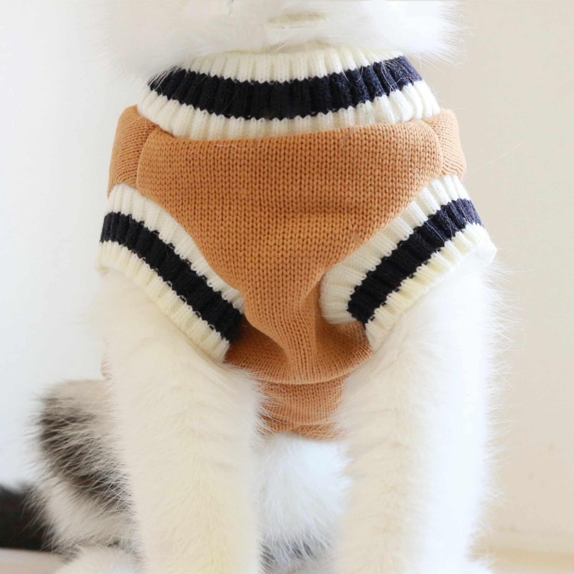 American College Style Cat Sweater - Pawsitive Cuddles