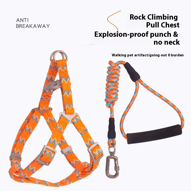 Fashionable Pet Climbing Harness with Foam Handle - Pawsitive Cuddles