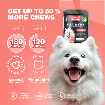 Flea & Tick Prevention with Immune Support Soft Treats - Pawsitive Cuddles