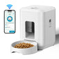 Remote Control, Timed & Measured Feeder - Pawsitive Cuddles