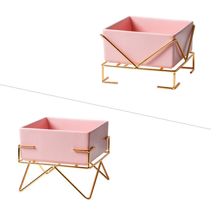 Ergonomic Elevated Pet Bowl - Pawsitive Cuddles