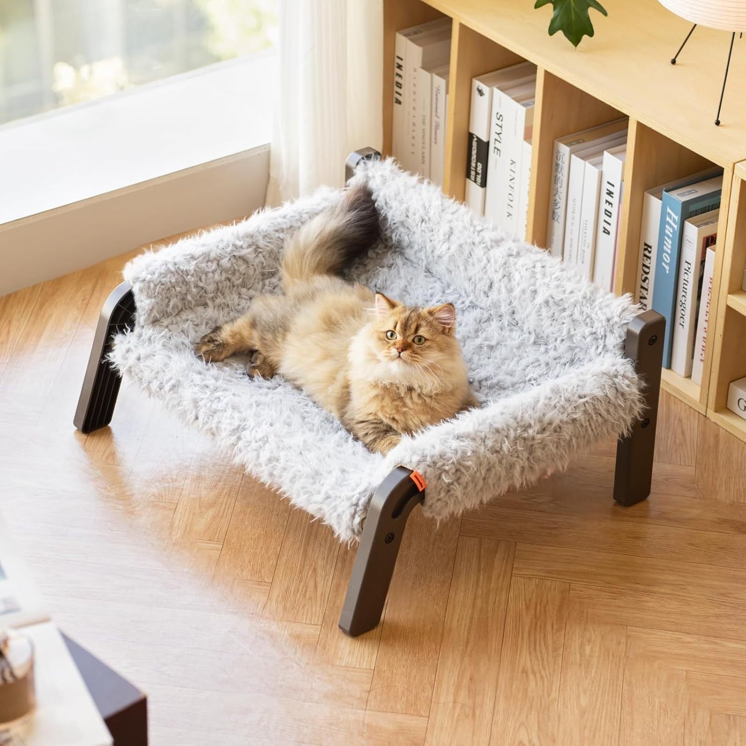 Raised Cat & Small Dog Couch with Washable Cover - Pawsitive Cuddles