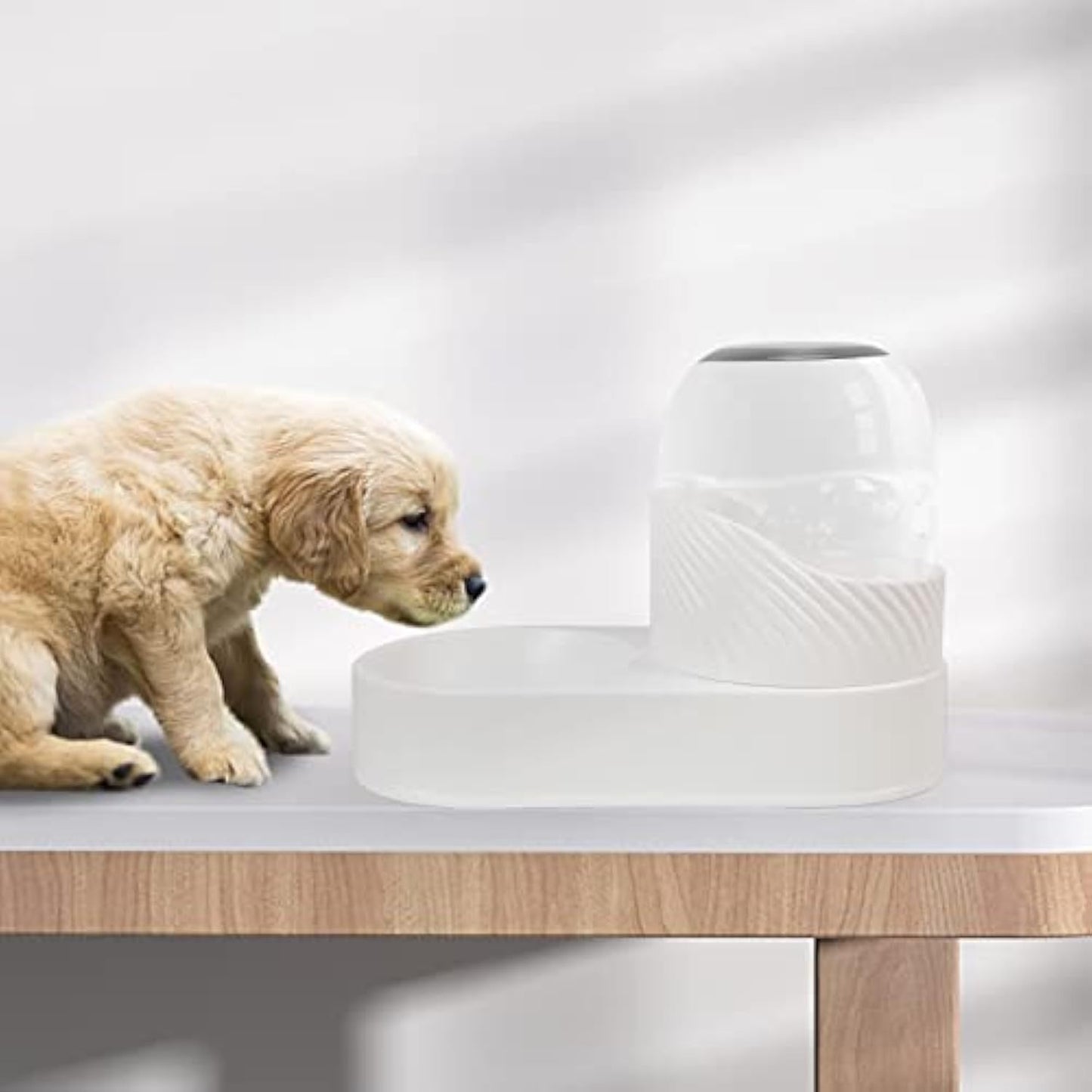 2-Piece Cat Feeder & Water Dispenser Set