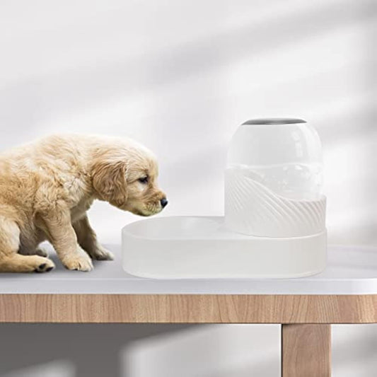 2-Piece Cat Feeder & Water Dispenser Set