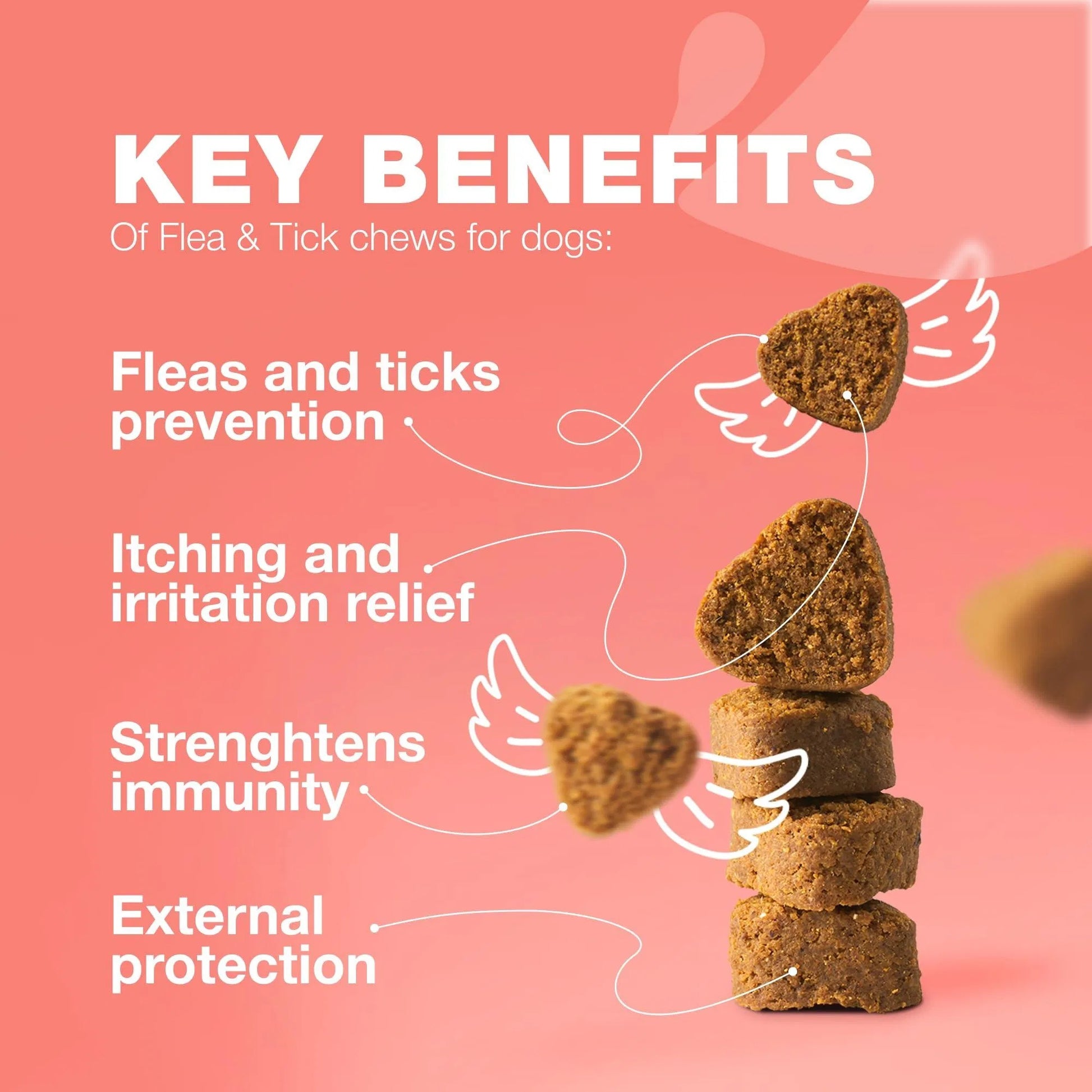 Flea & Tick Prevention with Immune Support Soft Treats - Pawsitive Cuddles