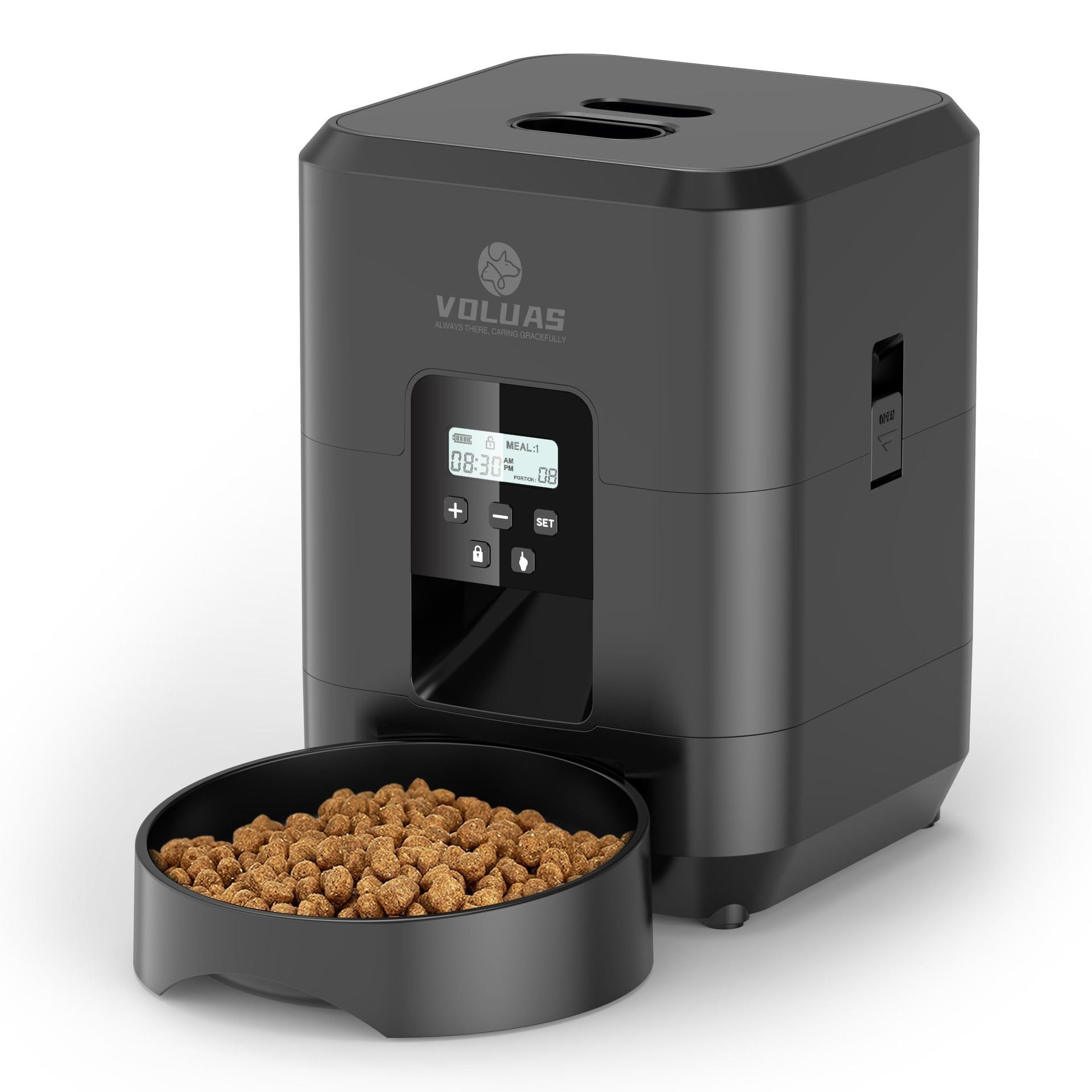 Remote Control, Timed & Measured Feeder - Pawsitive Cuddles