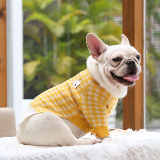 New Pet Clothing Products Keep Warm - Pawsitive Cuddles