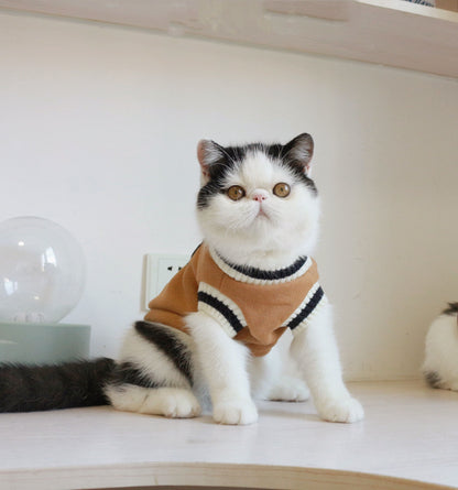 American College Style Cat Sweater - Pawsitive Cuddles