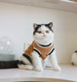 American College Style Cat Sweater - Pawsitive Cuddles