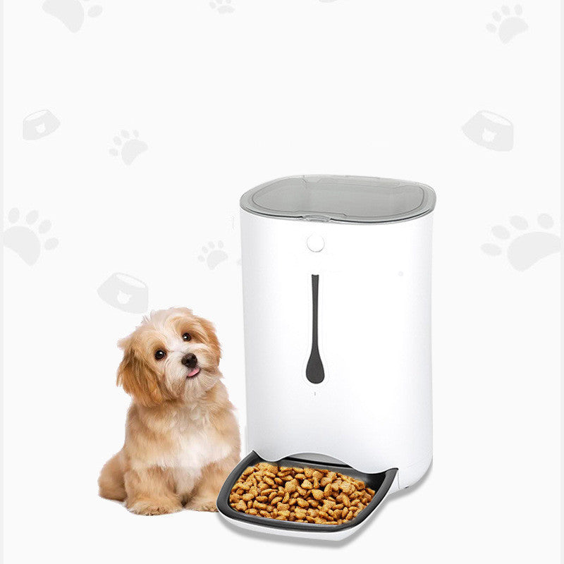 Timed Pet Video Automatic Feeder - Pawsitive Cuddles