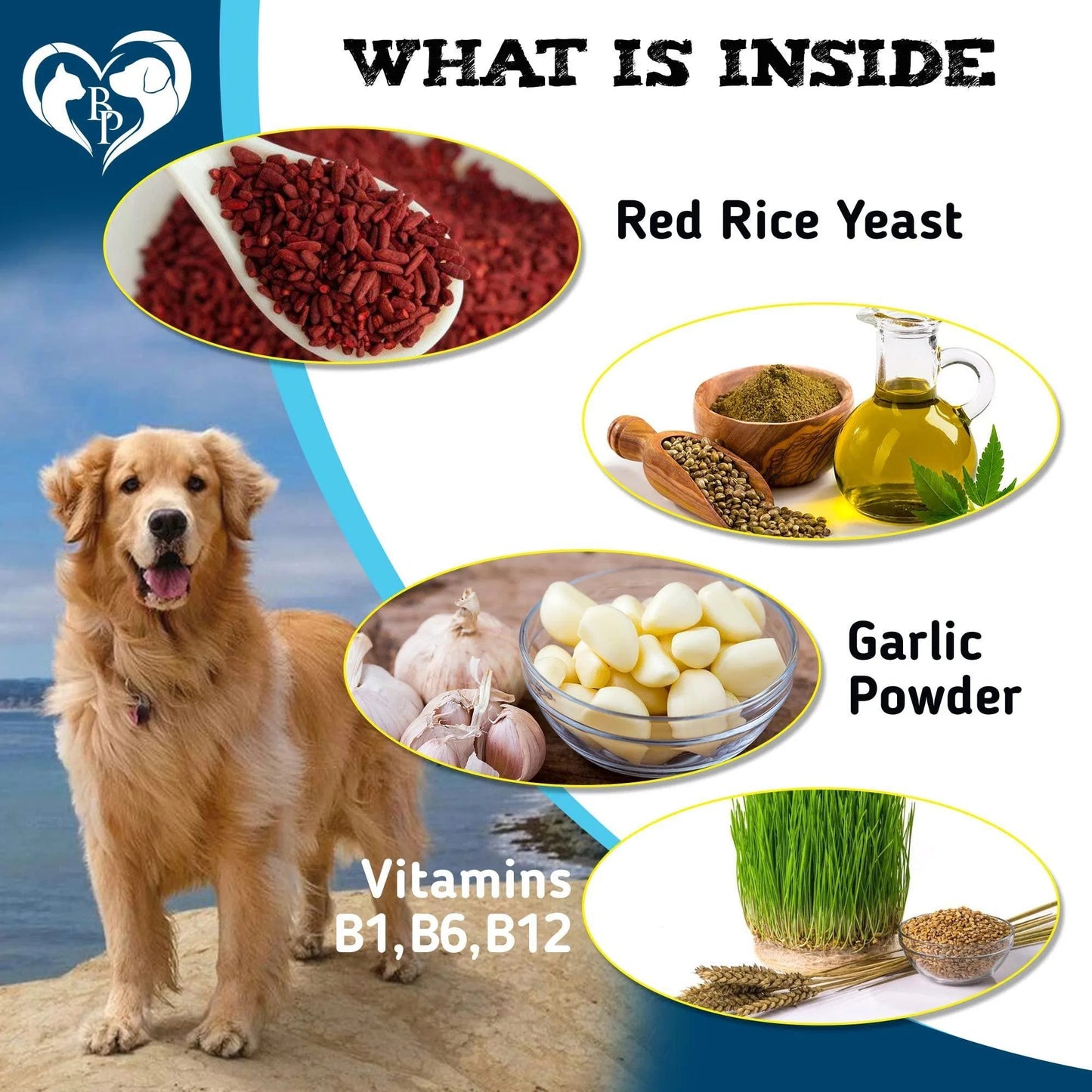 Flea & Tick Prevention Chewable Pills for Dogs & Cats