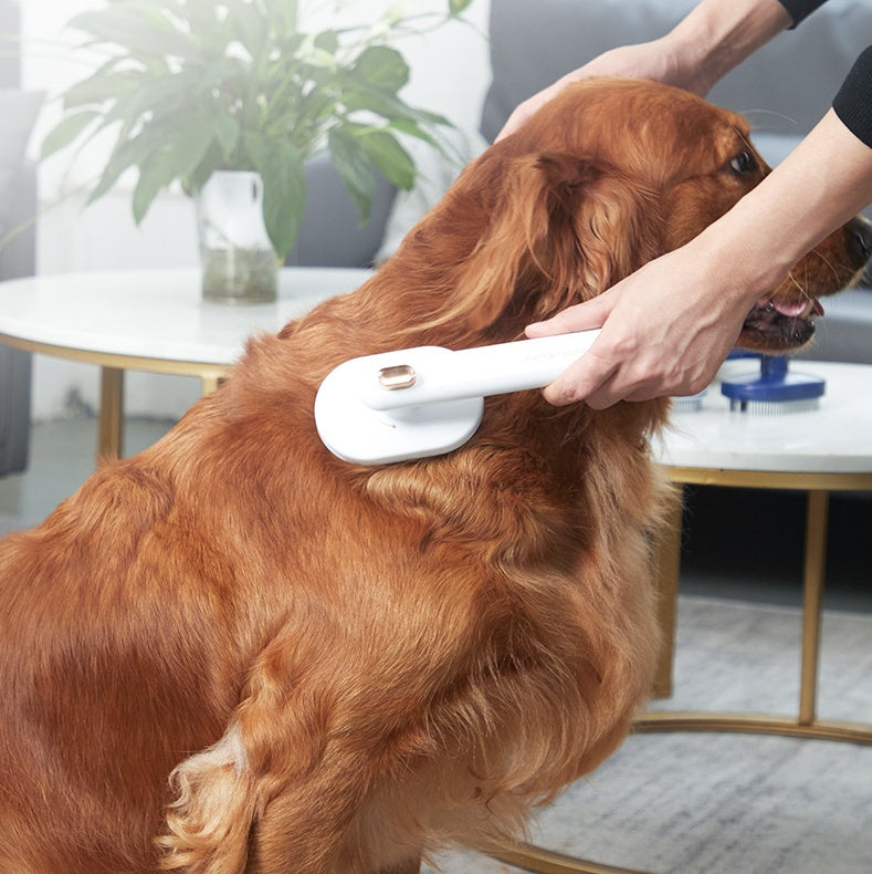Pet Comb To Remove Floating Hair - Pawsitive Cuddles