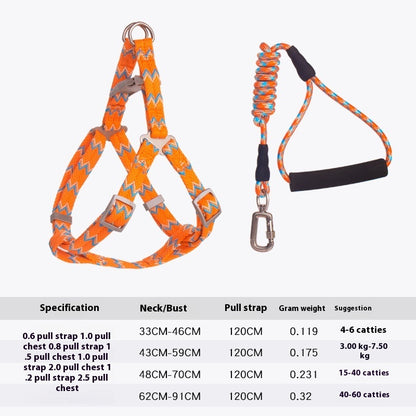 Fashionable Pet Climbing Harness with Foam Handle - Pawsitive Cuddles