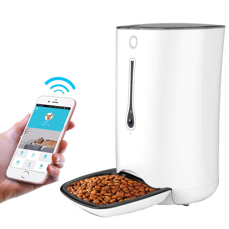 Timed Pet Video Automatic Feeder - Pawsitive Cuddles