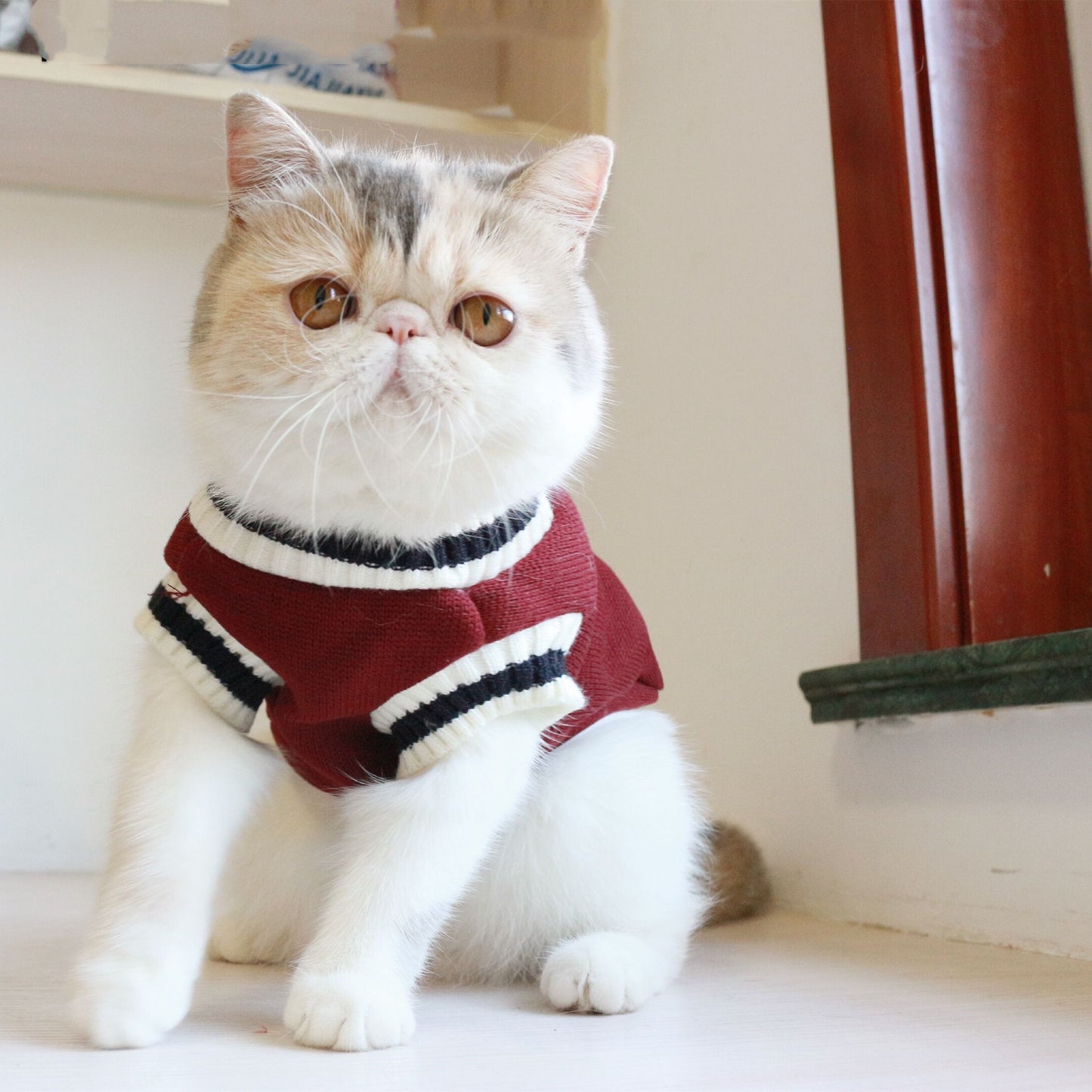 American College Style Cat Sweater - Pawsitive Cuddles
