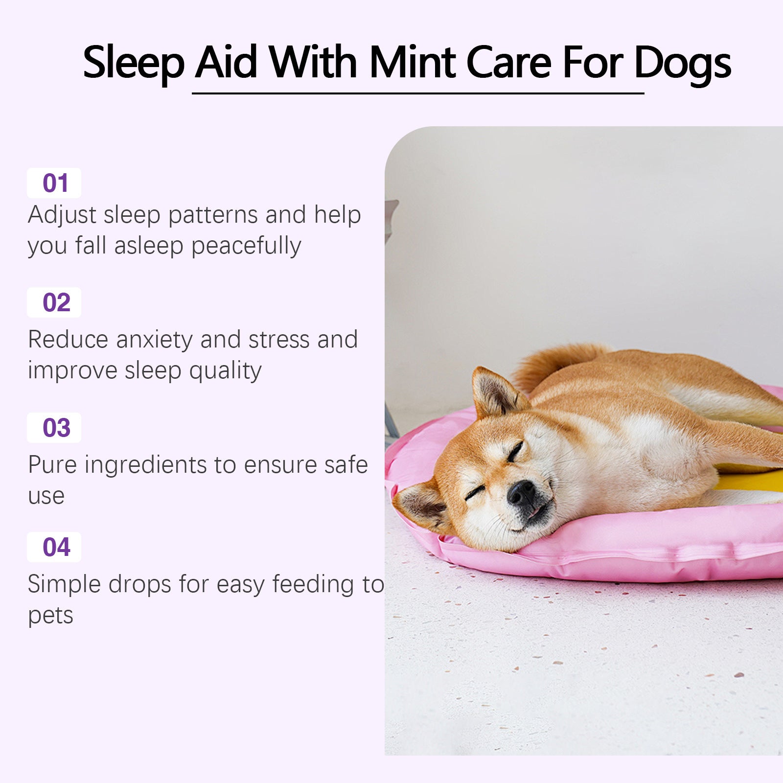 Nighttime Relaxation & Sleep Support for Dogs - Pawsitive Cuddles