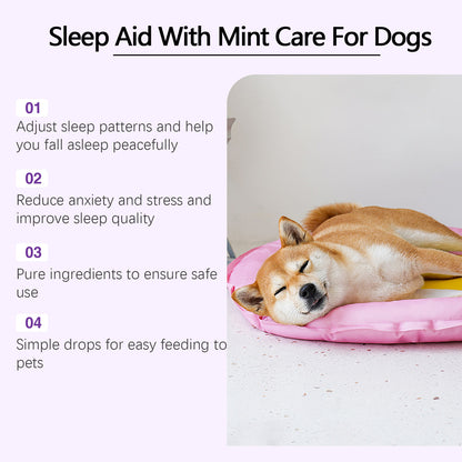 Nighttime Relaxation & Sleep Support for Dogs - Pawsitive Cuddles