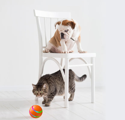 Cat Wicked Ball Intelligent Toy USB Charge - Pawsitive Cuddles