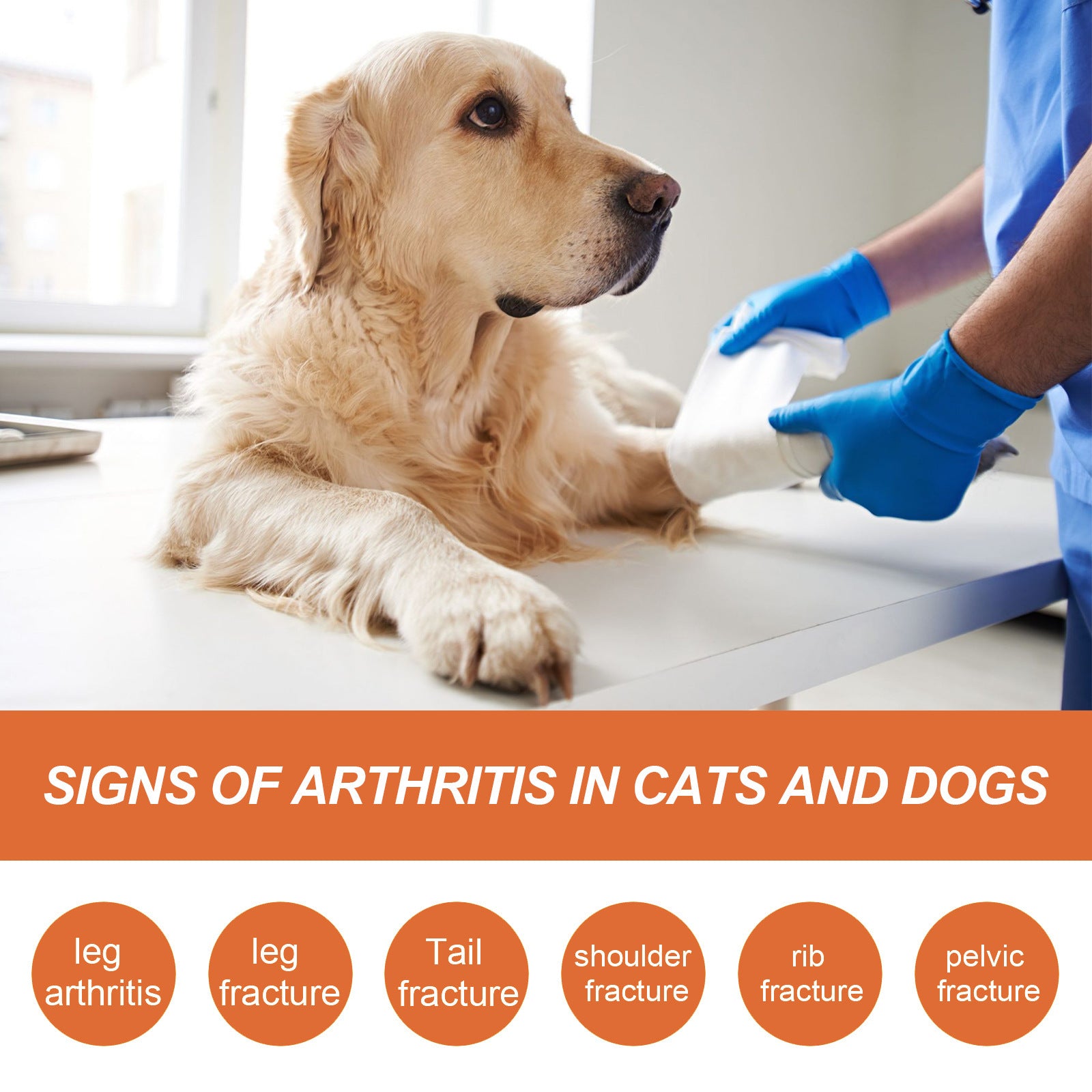 Pet Joint Repair Spray - Pawsitive Cuddles
