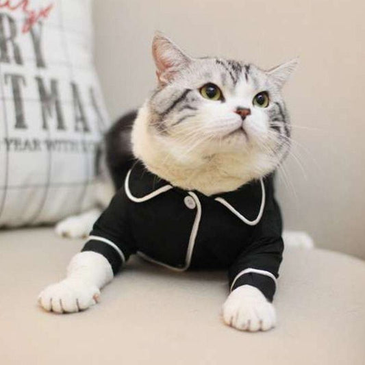 Summer pet pajamas - Pawsitive Cuddles