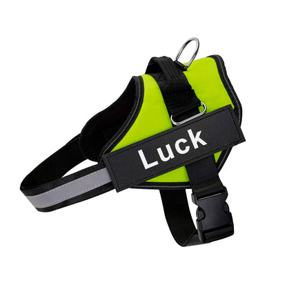 Custom Reflective No-Pull Dog Harness - Pawsitive Cuddles