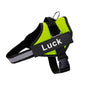 Custom Reflective No-Pull Dog Harness - Pawsitive Cuddles