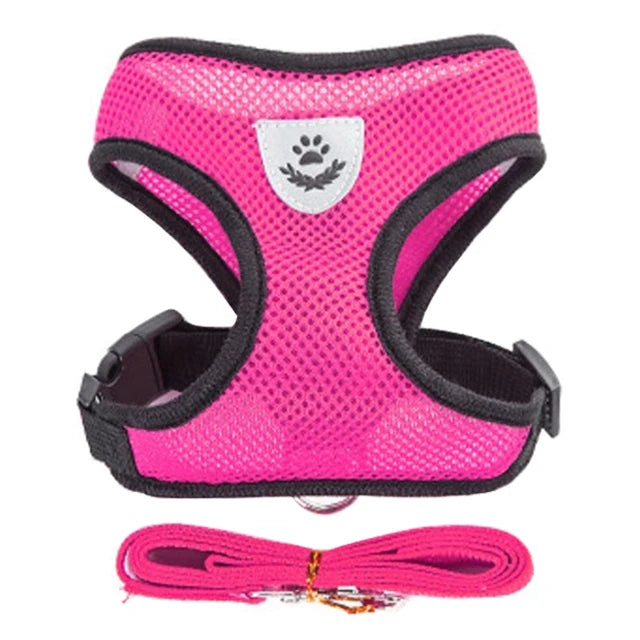 **Cat & Dog Harness Vest – Adjustable Mesh Walking Lead Leash for Small/Medium Pets** - Pawsitive Cuddles