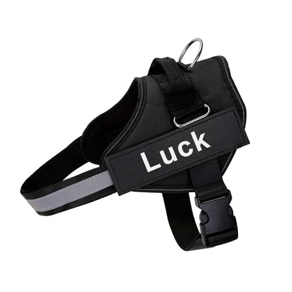 Custom Reflective No-Pull Dog Harness - Pawsitive Cuddles