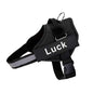 Custom Reflective No-Pull Dog Harness - Pawsitive Cuddles
