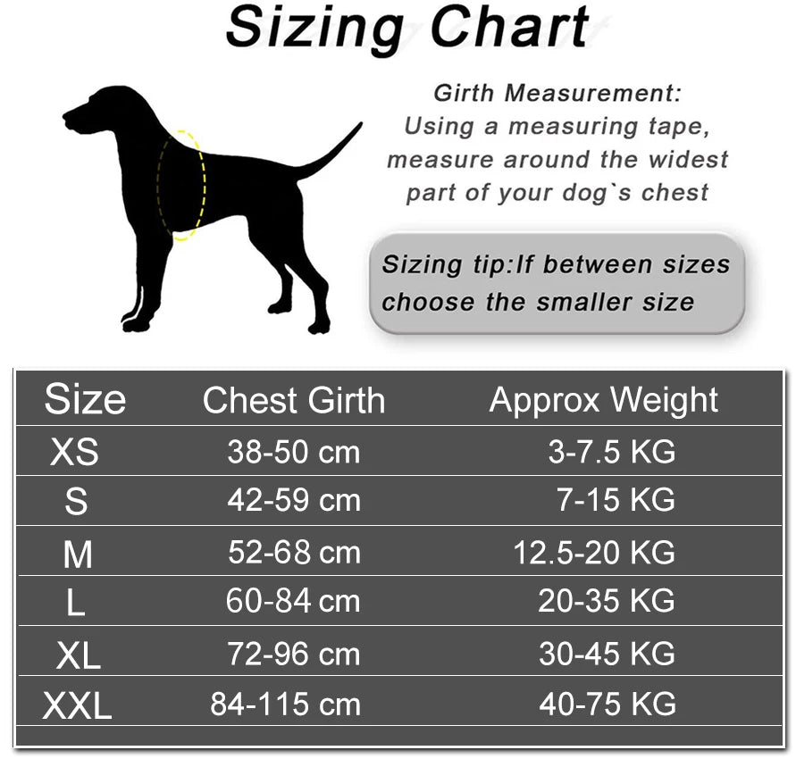 Custom Reflective No-Pull Dog Harness - Pawsitive Cuddles