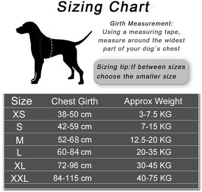 Custom Reflective No-Pull Dog Harness - Pawsitive Cuddles