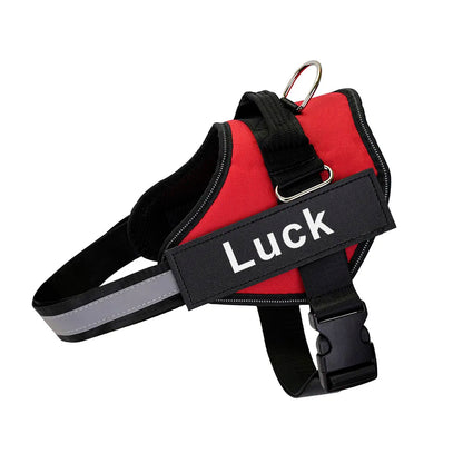 Custom Reflective No-Pull Dog Harness - Pawsitive Cuddles