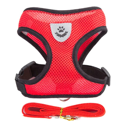 **Cat & Dog Harness Vest – Adjustable Mesh Walking Lead Leash for Small/Medium Pets** - Pawsitive Cuddles
