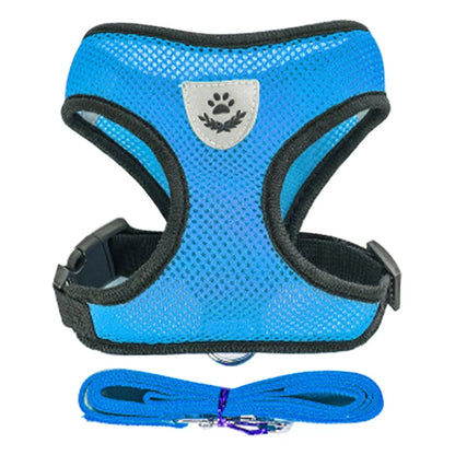**Cat & Dog Harness Vest – Adjustable Mesh Walking Lead Leash for Small/Medium Pets** - Pawsitive Cuddles