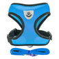 **Cat & Dog Harness Vest – Adjustable Mesh Walking Lead Leash for Small/Medium Pets** - Pawsitive Cuddles