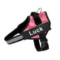 Custom Reflective No-Pull Dog Harness - Pawsitive Cuddles