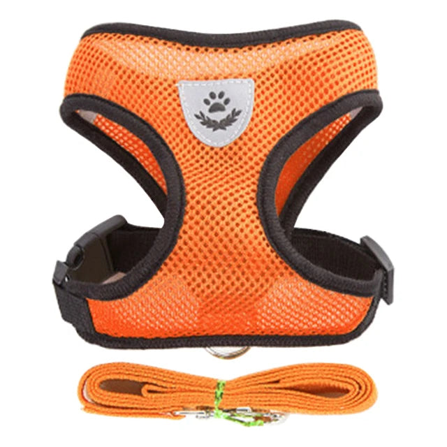 **Cat & Dog Harness Vest – Adjustable Mesh Walking Lead Leash for Small/Medium Pets** - Pawsitive Cuddles