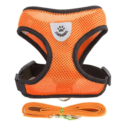 **Cat & Dog Harness Vest – Adjustable Mesh Walking Lead Leash for Small/Medium Pets** - Pawsitive Cuddles