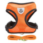 **Cat & Dog Harness Vest – Adjustable Mesh Walking Lead Leash for Small/Medium Pets** - Pawsitive Cuddles