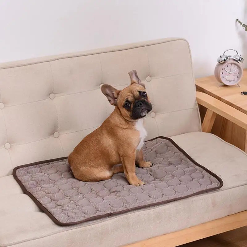 Pet Cooling Summer Pad Mat - Pawsitive Cuddles