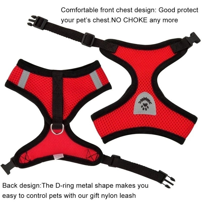 **Cat & Dog Harness Vest – Adjustable Mesh Walking Lead Leash for Small/Medium Pets** - Pawsitive Cuddles