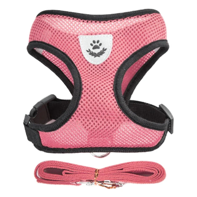 **Cat & Dog Harness Vest – Adjustable Mesh Walking Lead Leash for Small/Medium Pets** - Pawsitive Cuddles