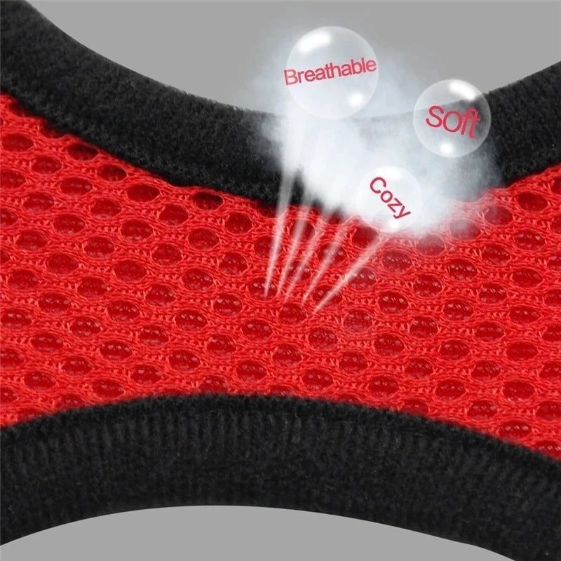 **Cat & Dog Harness Vest – Adjustable Mesh Walking Lead Leash for Small/Medium Pets** - Pawsitive Cuddles