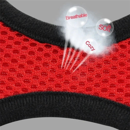**Cat & Dog Harness Vest – Adjustable Mesh Walking Lead Leash for Small/Medium Pets** - Pawsitive Cuddles