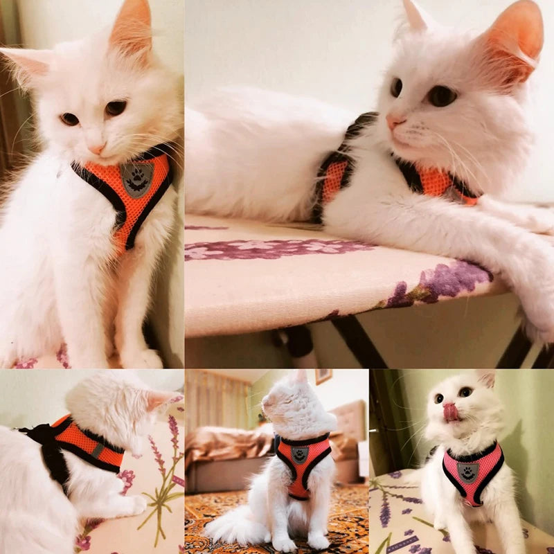 **Cat & Dog Harness Vest – Adjustable Mesh Walking Lead Leash for Small/Medium Pets** - Pawsitive Cuddles