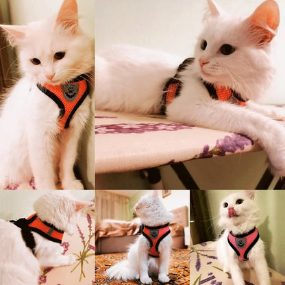 **Cat & Dog Harness Vest – Adjustable Mesh Walking Lead Leash for Small/Medium Pets** - Pawsitive Cuddles