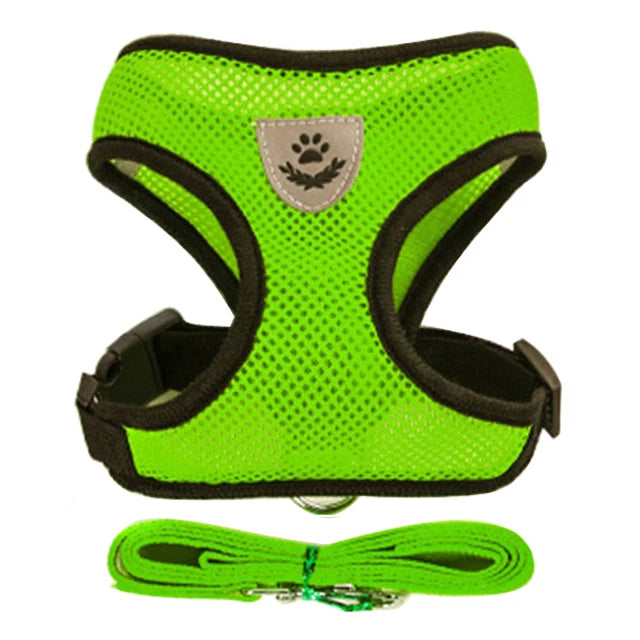 **Cat & Dog Harness Vest – Adjustable Mesh Walking Lead Leash for Small/Medium Pets** - Pawsitive Cuddles